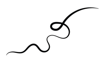 Curved calligraphic line strip, vector, ribbon like road element of calligraphy gracefully curved line .Vector illustration EPS 10 .