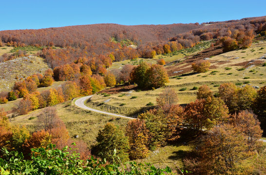 Strada di Roccamorice che attraversa paesaggio di montagna della Maiella durante l'autunno, con alberi colorati e foliage