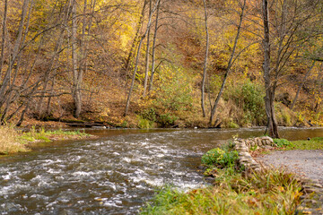 Golden Autumn River Flowing Through a Vibrant Forest 