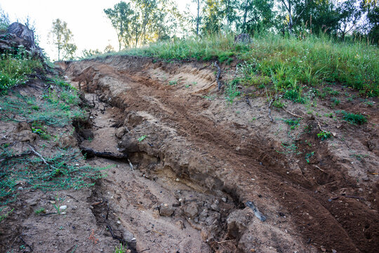 Rain-carved sandy slope with deep erosion gullies. Evident force of water shaping the earth, a natural landscape scene of weathering and degradation with green vegetation above