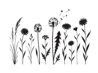 Floral grass and flowers vector illustration with green nature design