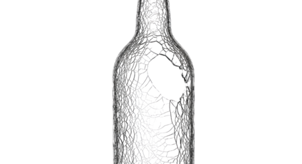 Abstract Wireframe Bottle 406b isolated on a transparent background