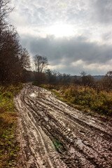 Deeply rutted, muddy path winding through an autumnal rural scene, reflecting a cloudy sky with a faint sun peeking through