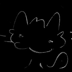 black and white cat © Viurs