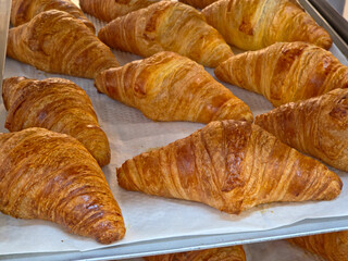 A close-up, high-angle view of a tray lined with parchment paper, filled with numerous golden-brown, freshly baked, flaky plain croissants ready for sale.