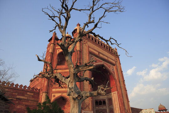 agra monument 