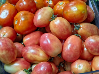 Bulk display of fresh oval tomatoes ready for sale at a market or grocery store.