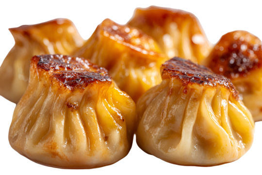 Delicious golden brown steamed dumplings with a dark background