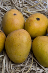 ripe yellow mangoes