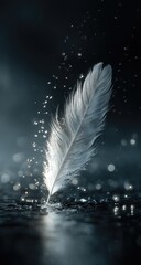 Elegant White Feather on Dark Background with Water Droplets.