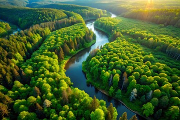 An aerial view shows a river winding through a lush green forest