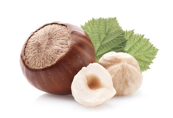 Hazelnuts with leaves on white background