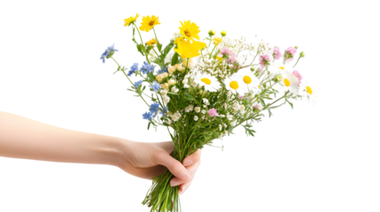 Close up of a hand holding a beautiful bouquet of colorful wildflowers isolated on transparent background