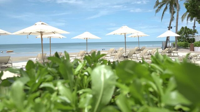 Tropical beachfront with sun loungers, white parasol and green leaves on the beach shore under blue sky in summer during vacation