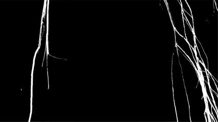 Minimalist Abstract White Root System Isolated on Black Background