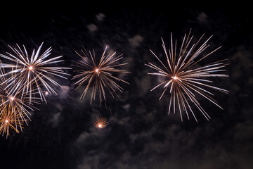 Obraz premium Colorful fireworks light up night sky during festive celebration