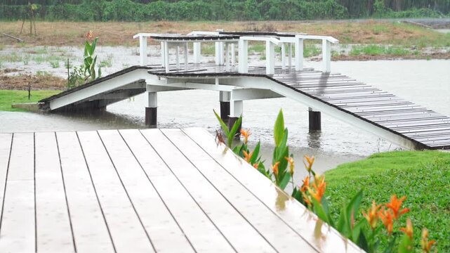 wooden bridge in the park