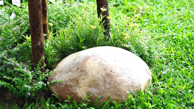 stone in the garden