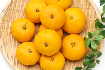 甘くて美味しい和歌山県産早生みかん