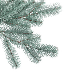 Branch of artificial fir tree isolated on white. Christmas decor