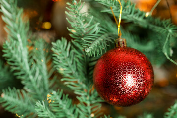 Red bauble hanging on fir tree branch, closeup. Christmas greeting card