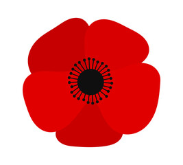 Red poppy flower illustration isolated on white background. PNG art design element on transparent background.