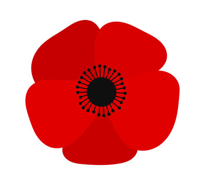 Red poppy flower illustration isolated on white background. PNG art design element on transparent background.