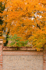 Naklejka premium traveling postcards 