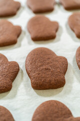 Pale Gingerbread Cookies a festive holiday treat crafted step by step