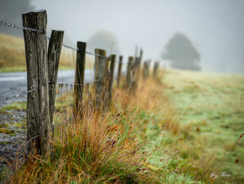 Rustic wooden fence with barbed wire stretching through dewy grassy field on a foggy morning with a blurred tree silhouette in the background - Powered by Adobe