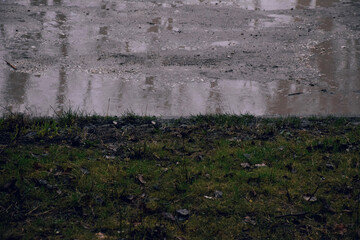 Wet ground with patches of grass and fallen leaves, reflecting a cloudy sky, creating a serene and tranquil atmosphere in a natural outdoor setting