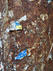 An authentic old wall backdrop featuring peeling paint and faded remnants of vintage ads. This grungy, textured surface is the perfect backdrop for your punk-style and urban-themed projects.