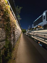 traffic in the night