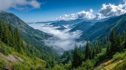 Obraz premium Scenic view of lush green mountainous forest valley covered with morning mist and bright blue sky with clouds over distant peaks during clear weather