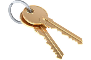 Two Keys on a keyring, transparent background