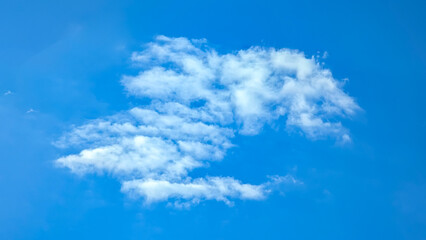 A standard, ordinary, simple cloud with a complex texture structure. Blue sky with white clouds background. Curly clouds on a sunny summer day. Light cloudy good weather. Poster mock up soft focus.