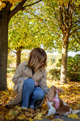 Cavalier king charles spaniel puppy sitting next to her owner in park in an autumn day