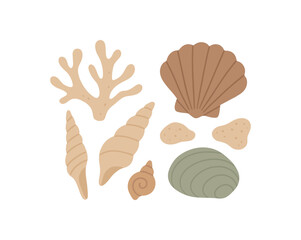 Obraz premium arranged shells and coral fragments soft organic composition no outline flat vector illustration style isolated on white background muted natural hues