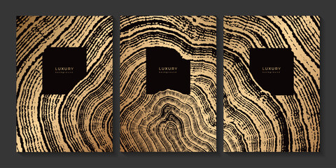 Set of gold wooden templates with tree rings texture. Gold art print for interior. Wood grain. Imprint of cross section of stump