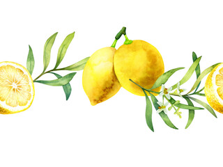 Watercolor border of lemons and olive branch with flowers isolated on a white background.