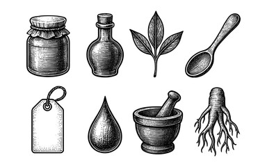 Fototapeta premium Vintage hand drawn herbal elements set with leaves, bottles, and roots