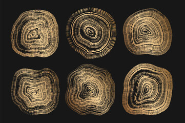 Set of golden linear tree stump prints. Wooden silhouette. Wood texture with concentric rings. Collection of wood in cross section. Golden wood annual rings textures. Tree ring pattern