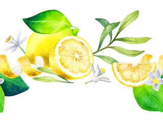 Watercolor border of lemons, flowers and olive branch with flowers isolated on a white background.