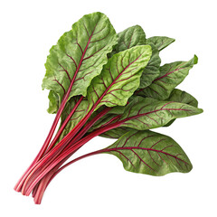 Full Bunch of Fresh Sweet Beet Leaves &ndash; Healthy Vegetable Isolated on Transparent Background