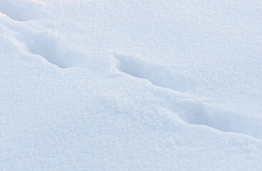 footprint in fresh snow trace winter step outdoor walk