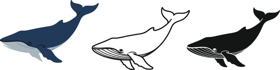 Fototapeta premium Whale vector illustration set marine mammal ocean animal design