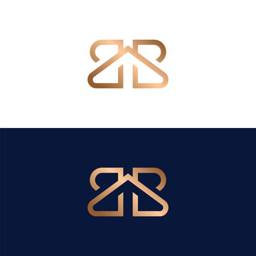Luxury monogram twin B logo design