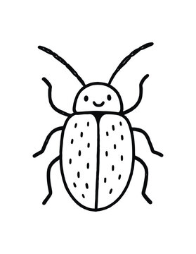 handdrawn cute doodle style click beetle vector line illustration