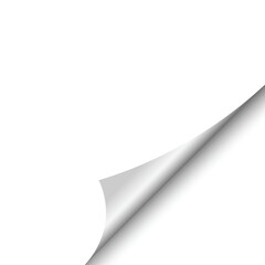 Page Curl Vector: Realistic Paper Turning Corner Illustration