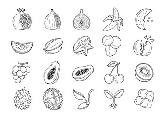 Fruit and Seed Icons for Organic Labels © VectorsId777